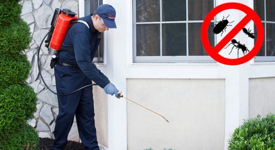 Altındağ Böcek ve Haşere İlaçlama böcek ilaçlama ve haşere kontrolü — ilaclama-tr.com
